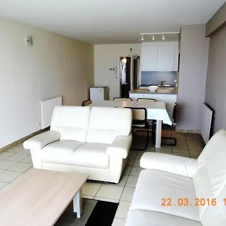 Apartment With Terrace In *