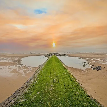 In With Stunning Sea Views Διαμέρισμα Middelkerke